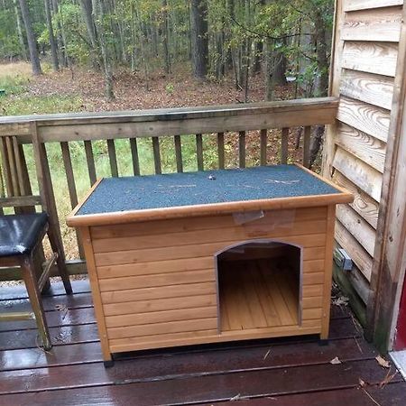 Rustic Quaint Cabin In The Woods--Pets Welcomed Dunnsville Εξωτερικό φωτογραφία