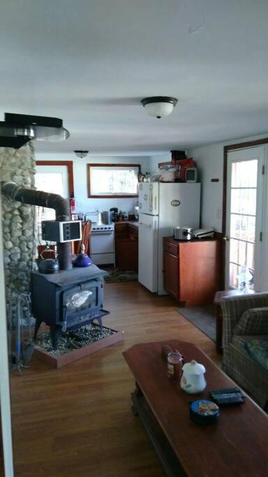Rustic Quaint Cabin In The Woods--Pets Welcomed Dunnsville Εξωτερικό φωτογραφία